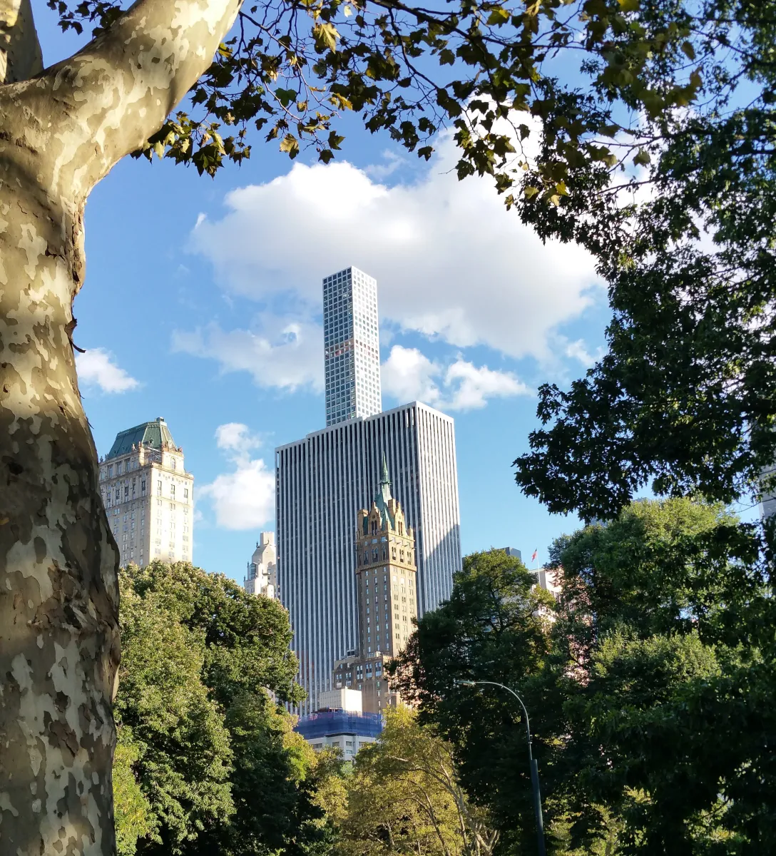 View from Central Park, New York