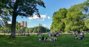 Central Park through the trees